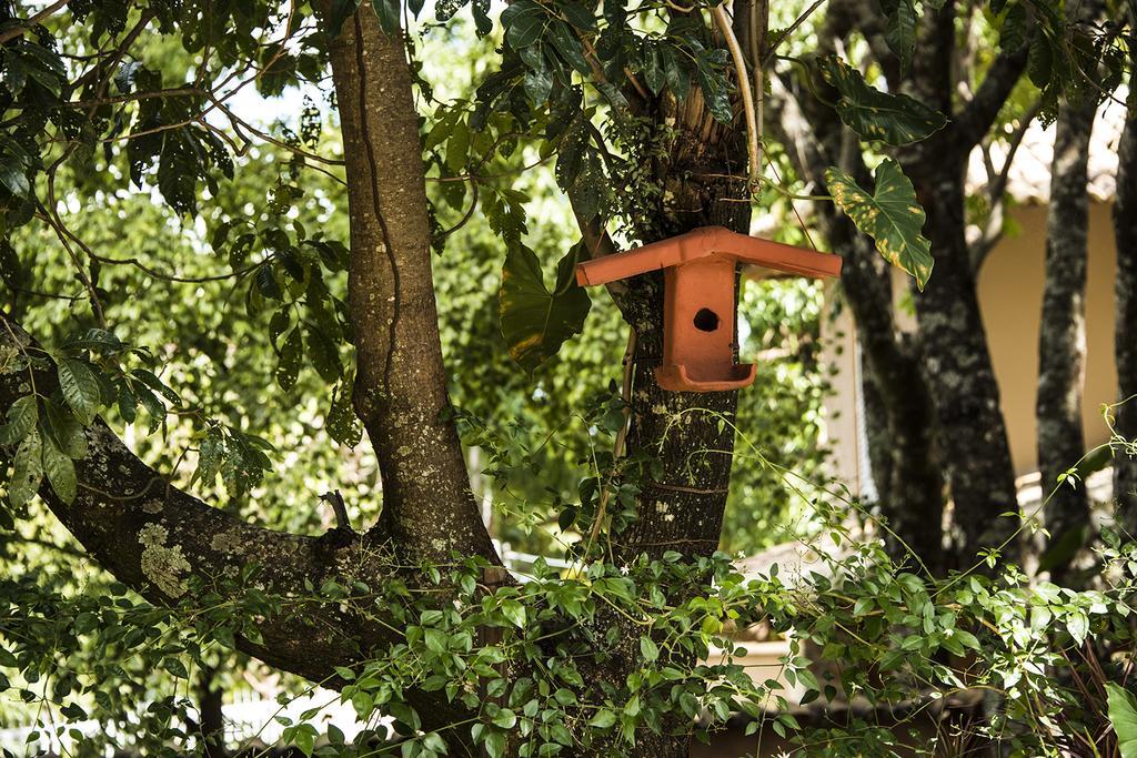 Pousada Fenix Pirenópolis Eksteriør billede